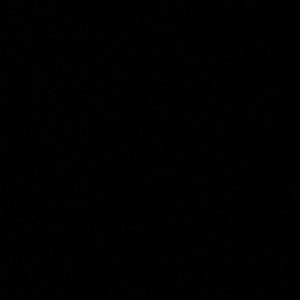 I WILL NOT BE TRADING SHOES.